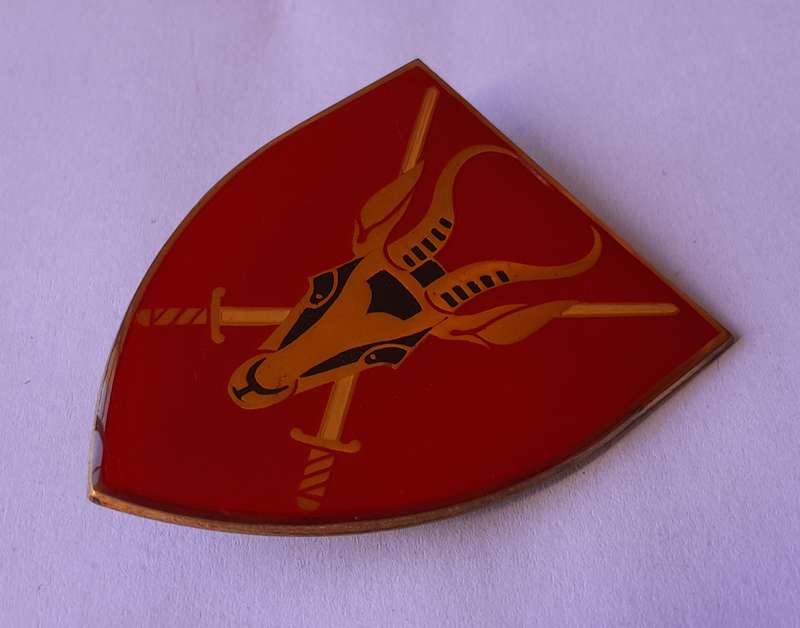 SADF Army HQ Shoulder Flash.  2 Pins Intact.