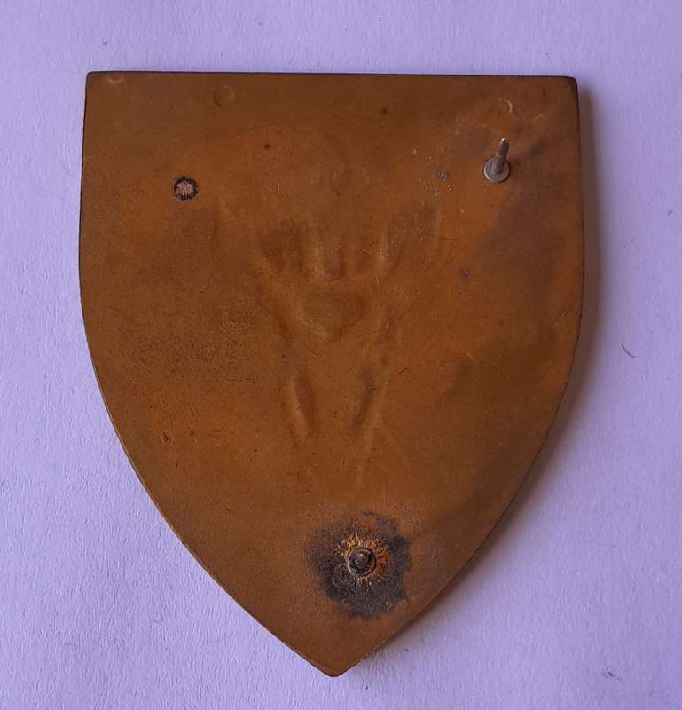 SADF Army HQ Shoulder Flash.  2 Pins Intact.