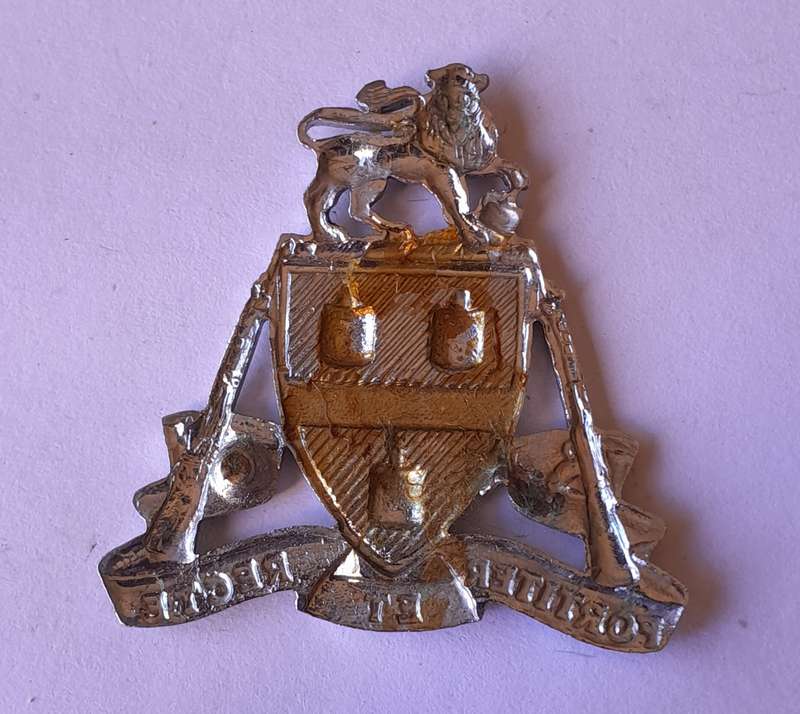 Johannesburg Regiment Cap Badge. No Lugs.
