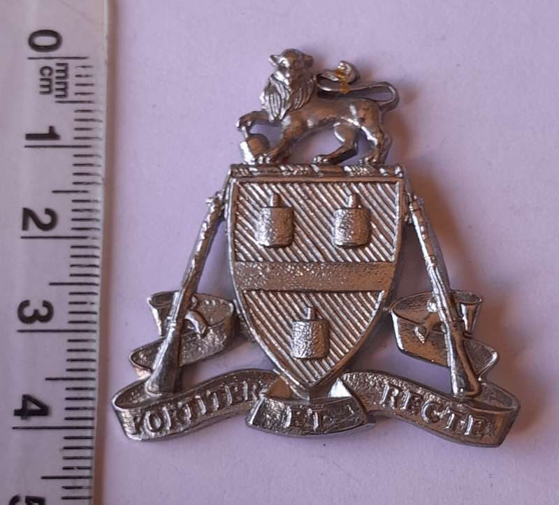 Johannesburg Regiment Cap Badge. No Lugs.