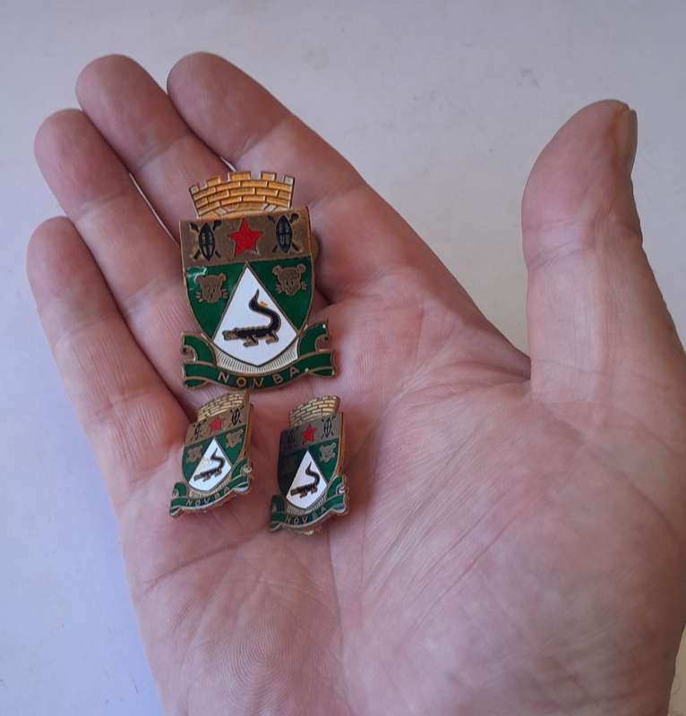 Vintage NOVBA Enameled Badge Set.