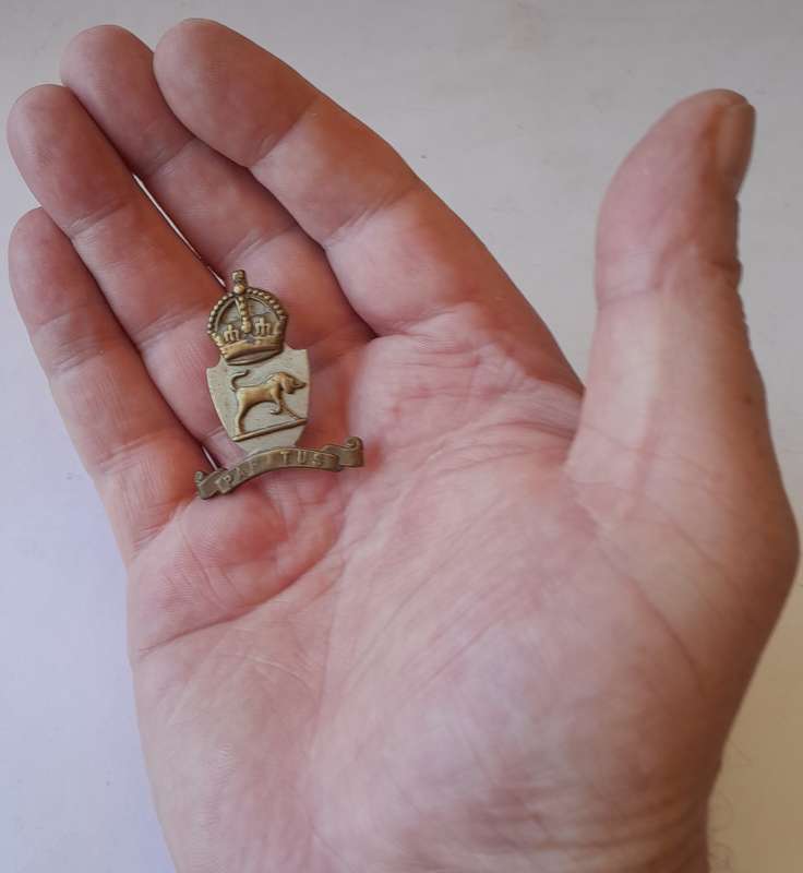 SA Union Military College Cap Badge.  Lugs Intact.