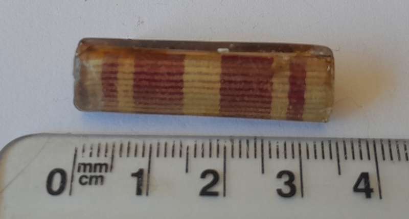SA Army Beret Bar.  Pins Intact.