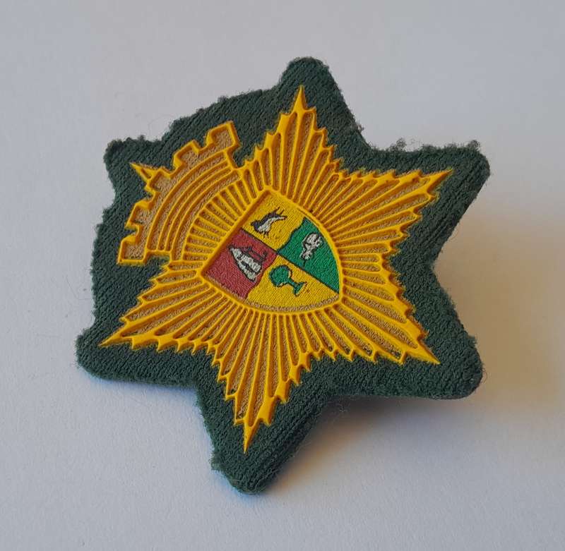 SA Municipal Police Cap Badge. Pins Intact.