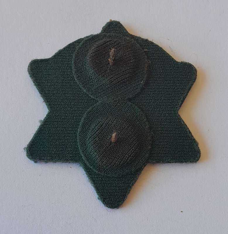 SA Municipal Police Cap Badge. Pins Intact.