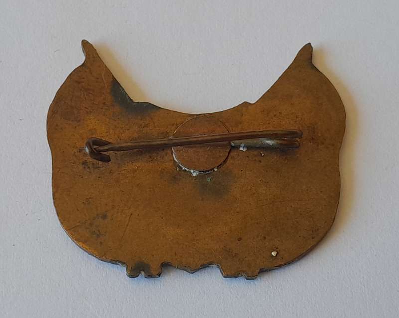 Rare Orange Free State Vryheid Immigratie Enameled Badge.  Pin Intact.