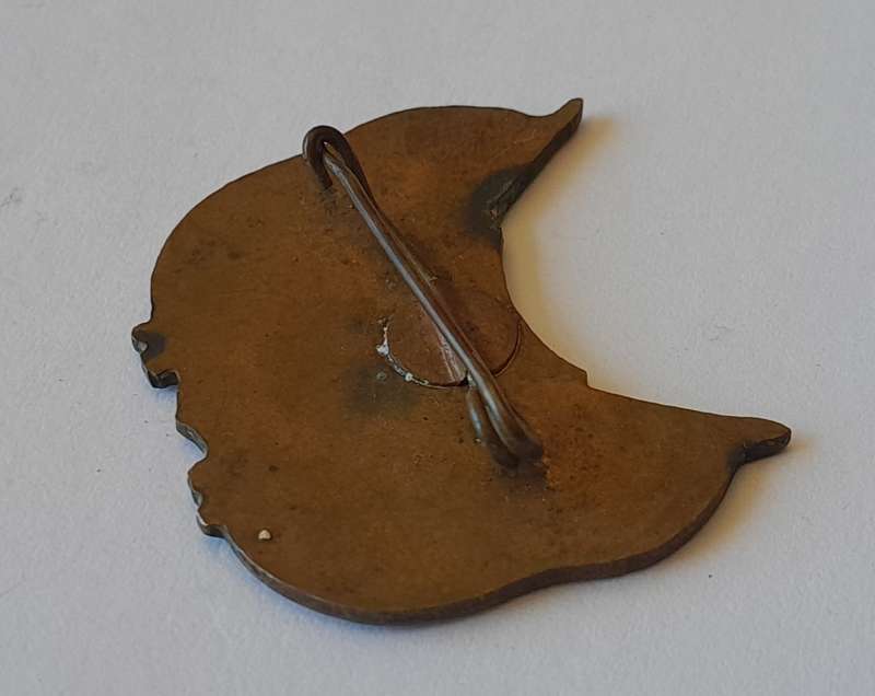 Rare Orange Free State Vryheid Immigratie Enameled Badge.  Pin Intact.