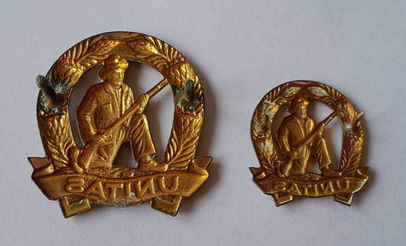 SADF Commando Badge Set.  Lugs and Pins Intact.