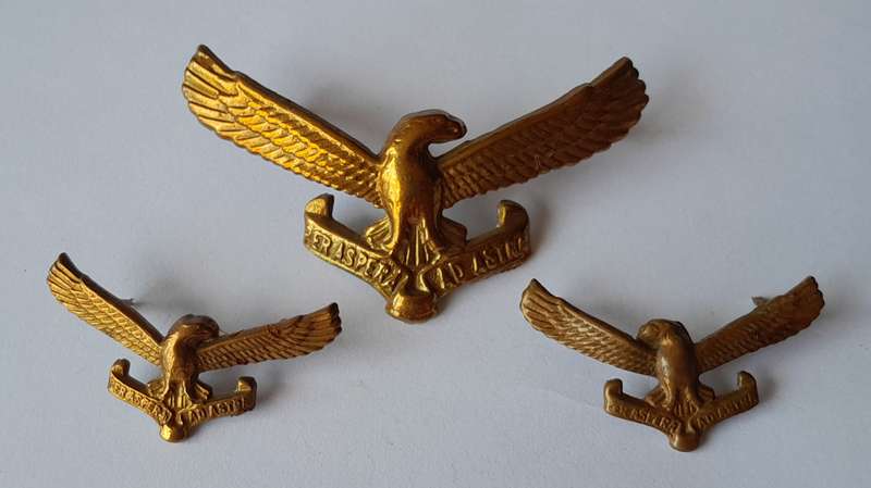 Vintage SA Air Force Badge Set.  Lugs and Pins Intact.