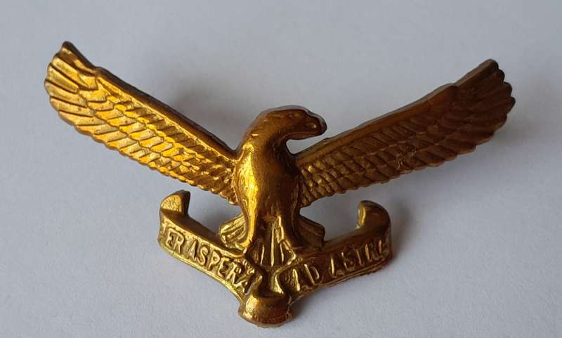Vintage SA Air Force Badge Set.  Lugs and Pins Intact.
