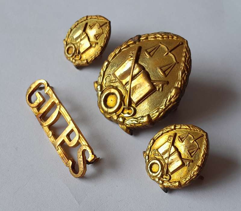 Vintage SA Prison Services Badge Set and Title.  Lugs and Pins Intact.