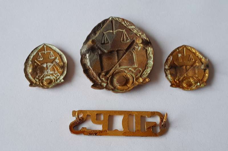 Vintage SA Prison Services Badge Set and Title.  Lugs and Pins Intact.