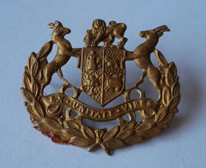 SADF Warrant Officer 1 Badge.  Pins Intact.