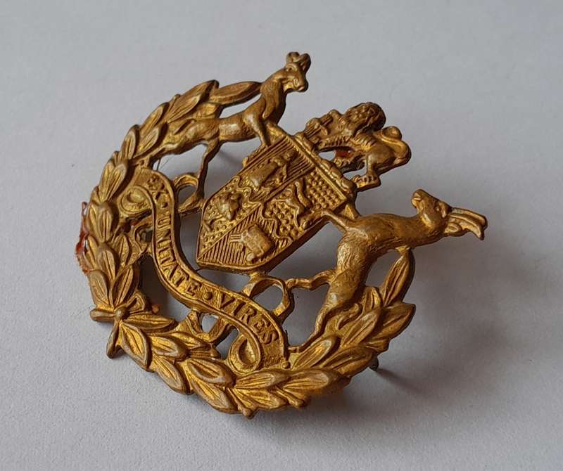 SADF Warrant Officer 1 Badge.  Pins Intact.