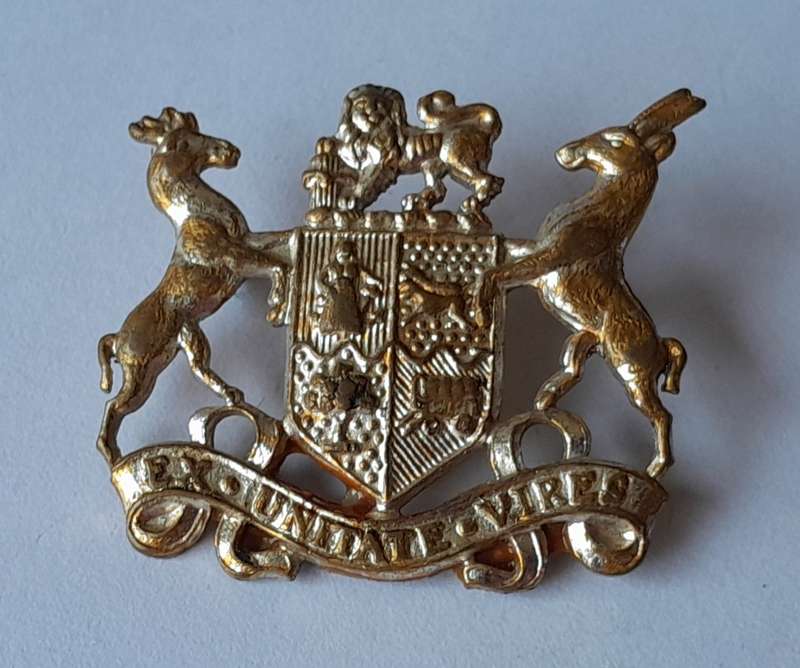 SADF Badge.  Pins Intact.