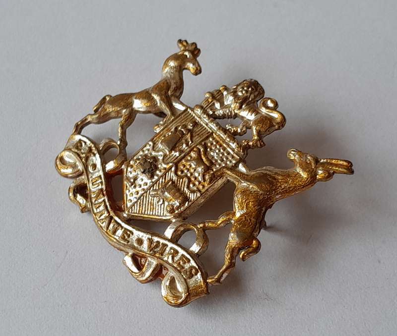 SADF Badge.  Pins Intact.