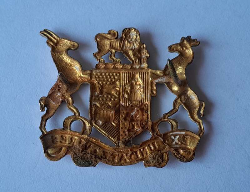 SADF Badge.  Pins Intact.
