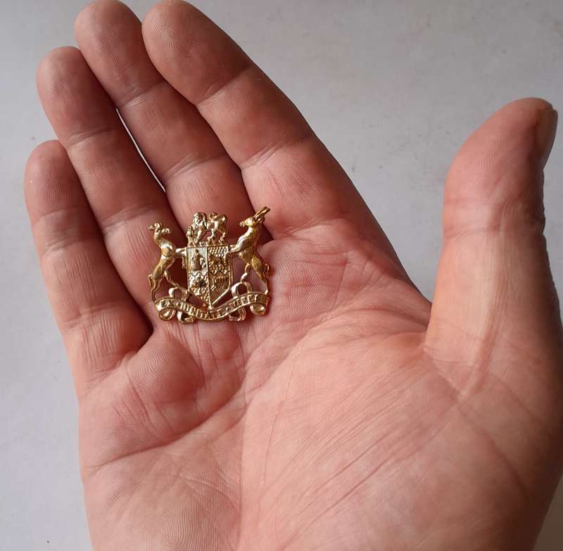 SADF Badge.  Pins Intact.