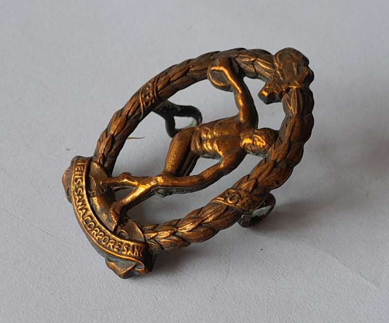WW2 SA Army Physical Training Brigade Badge.  Lugs Intact.