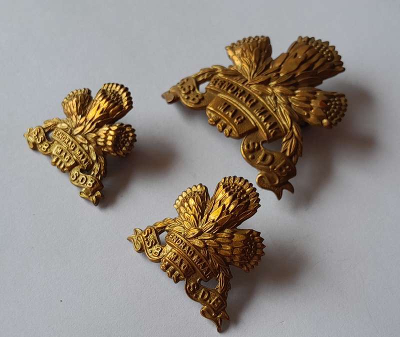 SADF Special Service Battalion Badge Set.  Lugs and Pins Intact.
