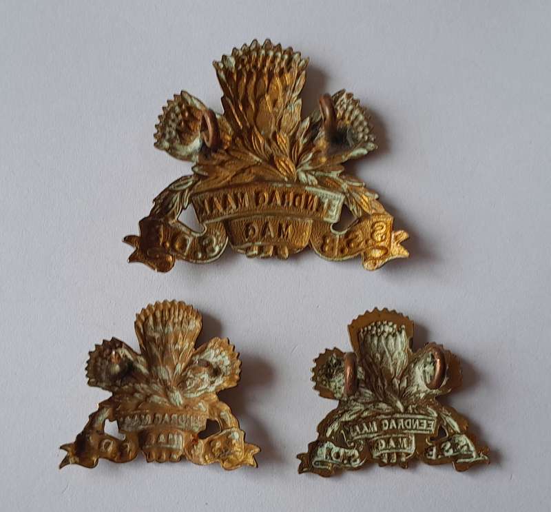 SADF Special Service Battalion Badge Set.  Lugs and Pins Intact.
