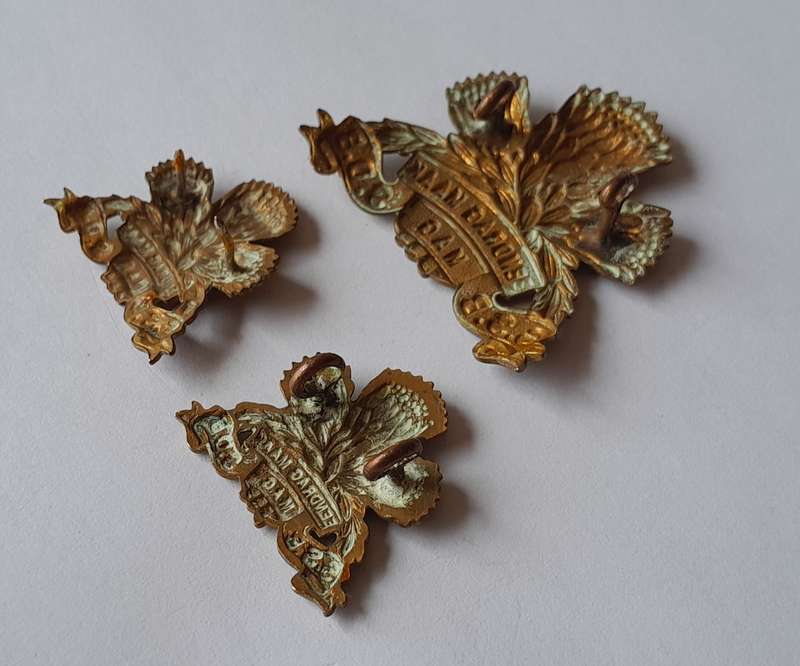 SADF Special Service Battalion Badge Set.  Lugs and Pins Intact.