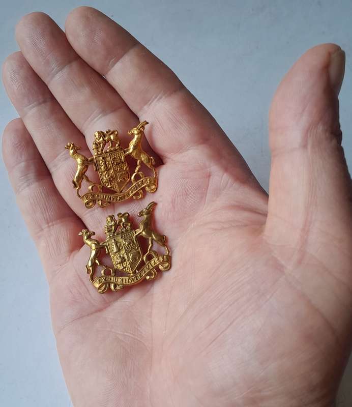 Pair SADF Warrant Officer Rank Badges.
