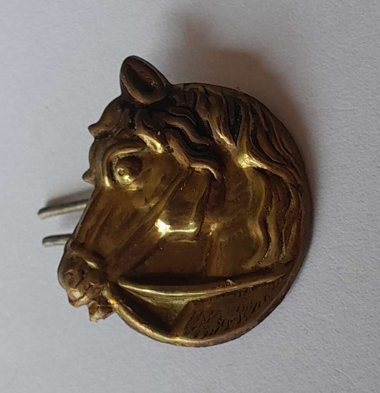 Unknown Badge.  Pins Intact.