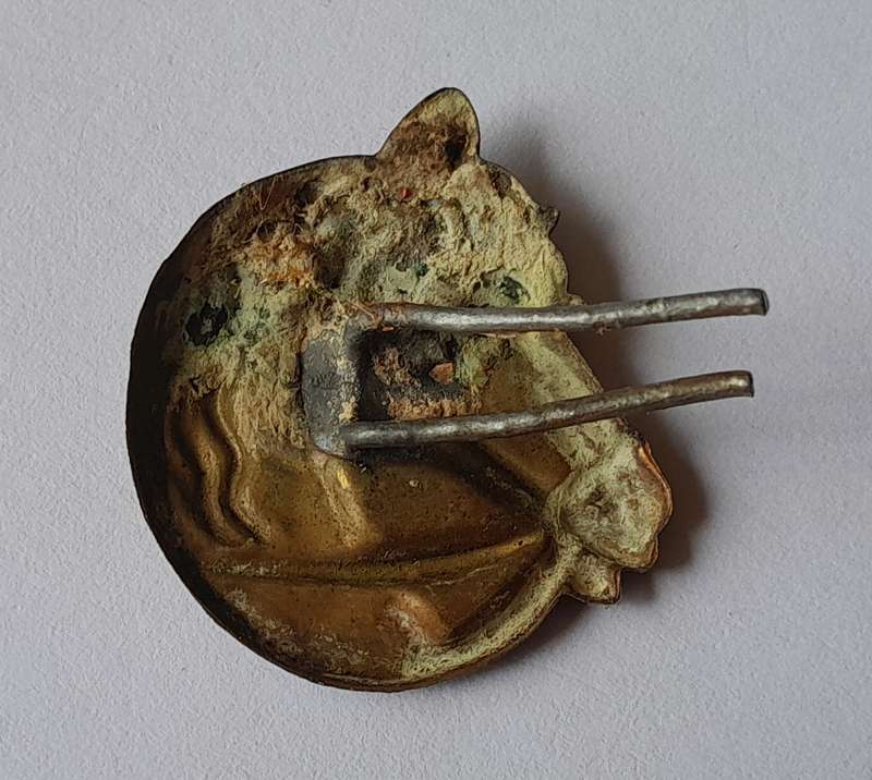 Unknown Badge.  Pins Intact.