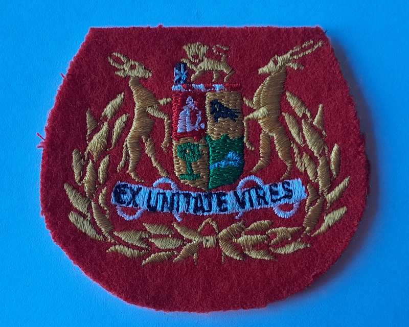 SA Army Sergeant Major (Regimental) Rank Badge.