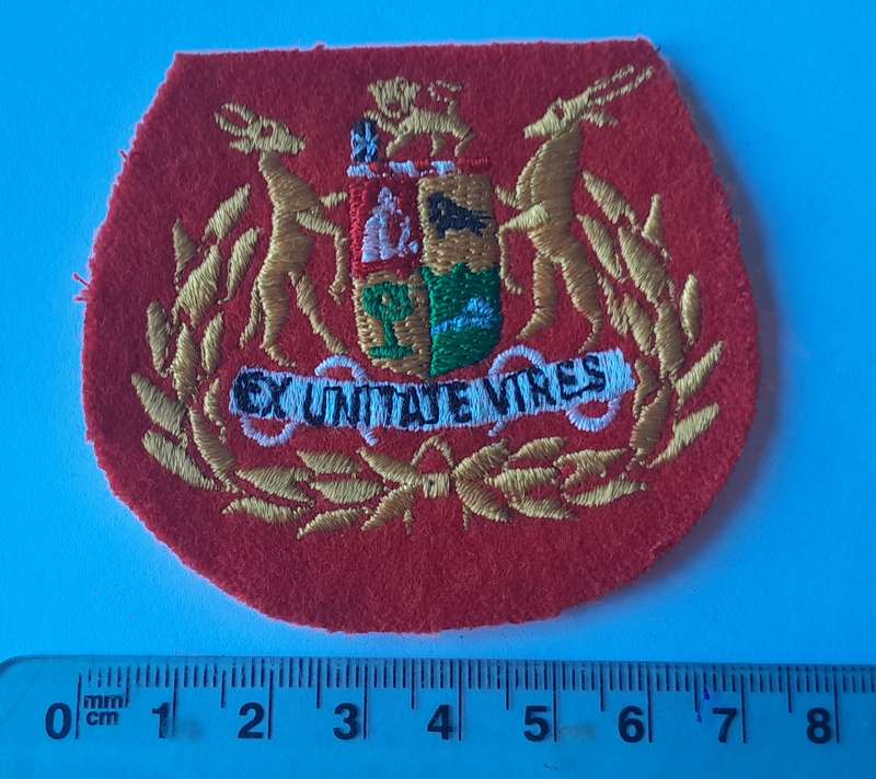 SA Army Sergeant Major (Regimental) Rank Badge.