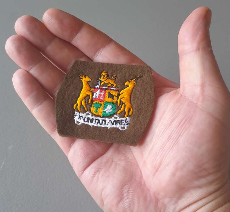 SADF Warrant Officer Class 2 Rank Badge.