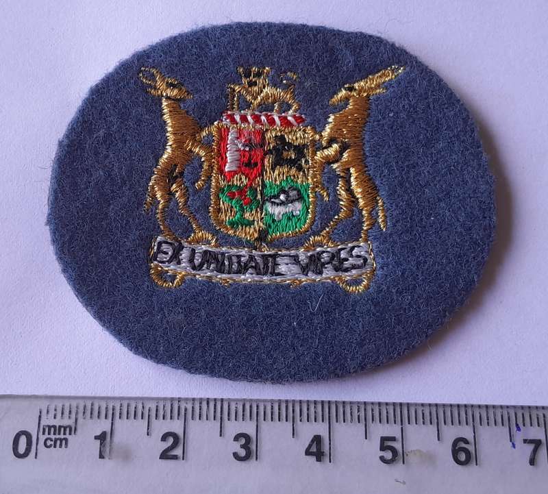 SA Air Force Warrant Officer Class 2 Rank Badge.