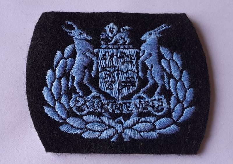 SA Air Force Warrant Officer Class 1 Rank Badge.
