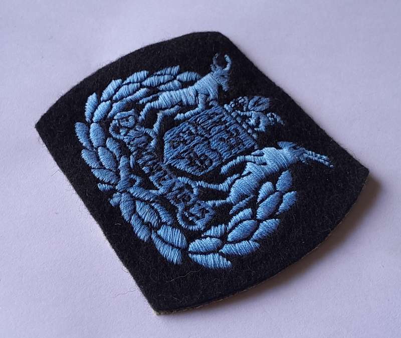 SA Air Force Warrant Officer Class 1 Rank Badge.