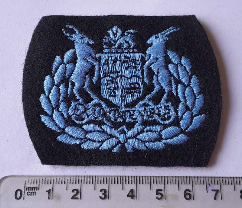 SA Air Force Warrant Officer Class 1 Rank Badge.