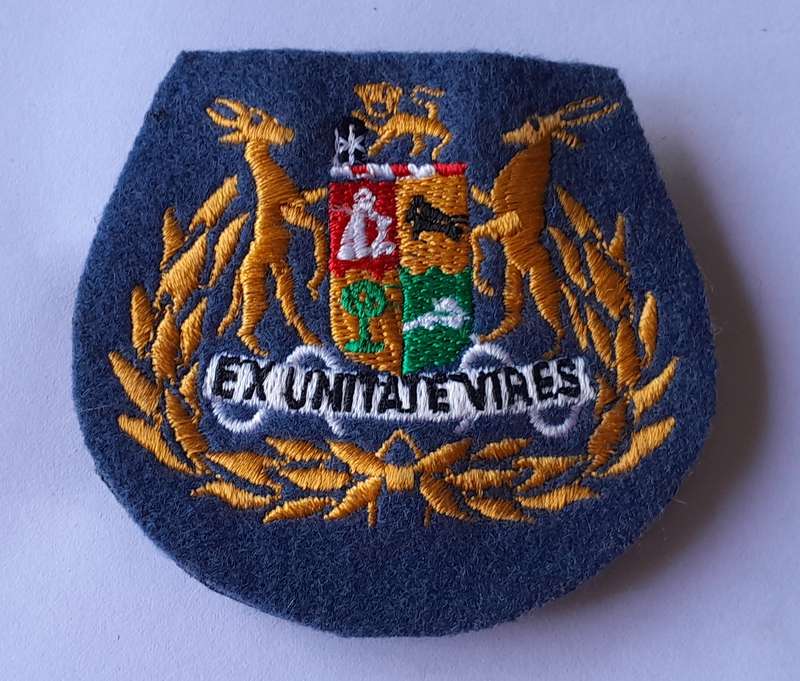 SA Air Force Warrant Officer Class 1 Rank Badge.
