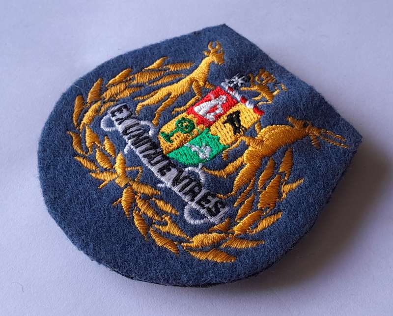 SA Air Force Warrant Officer Class 1 Rank Badge.