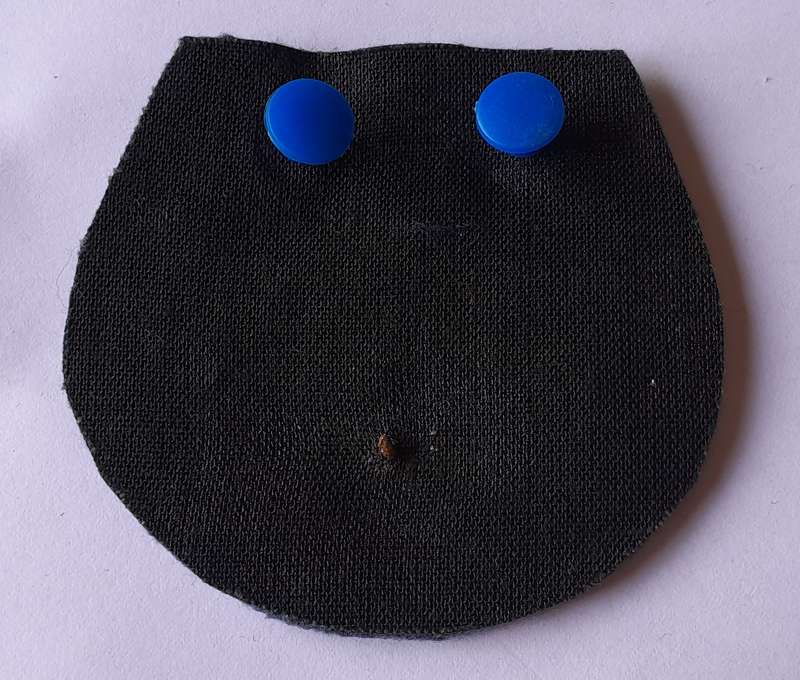 SA Air Force Warrant Officer Class 1 Rank Badge.