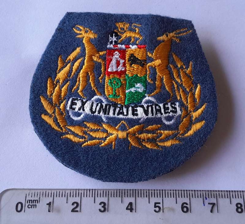 SA Air Force Warrant Officer Class 1 Rank Badge.