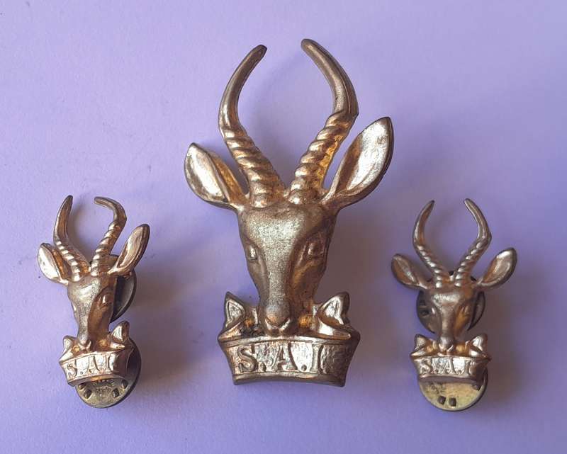 SA Infantry "Bokkop" Badge Set.  Brass Cap & Collars.