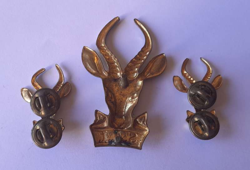SA Infantry "Bokkop" Badge Set.  Brass Cap & Collars.