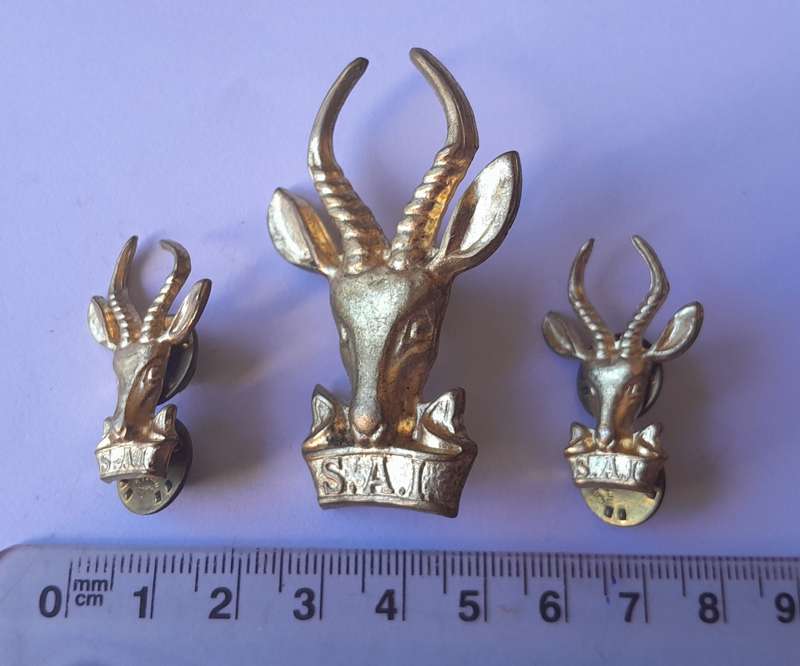 SA Infantry "Bokkop" Badge Set.  Brass Cap & Collars.