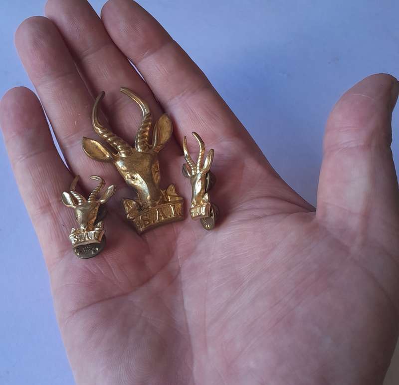 SA Infantry "Bokkop" Badge Set.  Brass Cap & Collars.