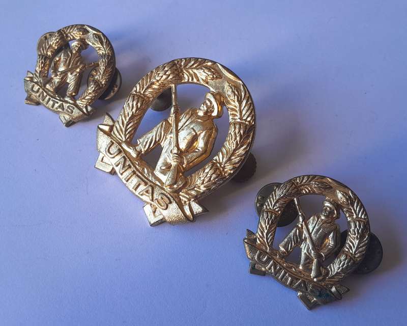 SA Army Commando Badge Set.  Cap & Collars (Facing).  Screw Lugs Intact.