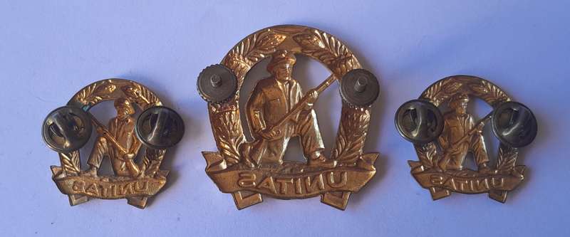 SA Army Commando Badge Set.  Cap & Collars (Facing).  Screw Lugs Intact.