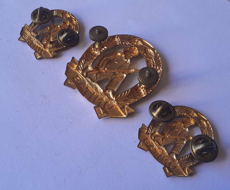 SA Army Commando Badge Set.  Cap & Collars (Facing).  Screw Lugs Intact.