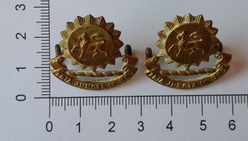 Rare Pair Early Grey High School Cadet Corps Collar Badges.  Lugs Intact.
