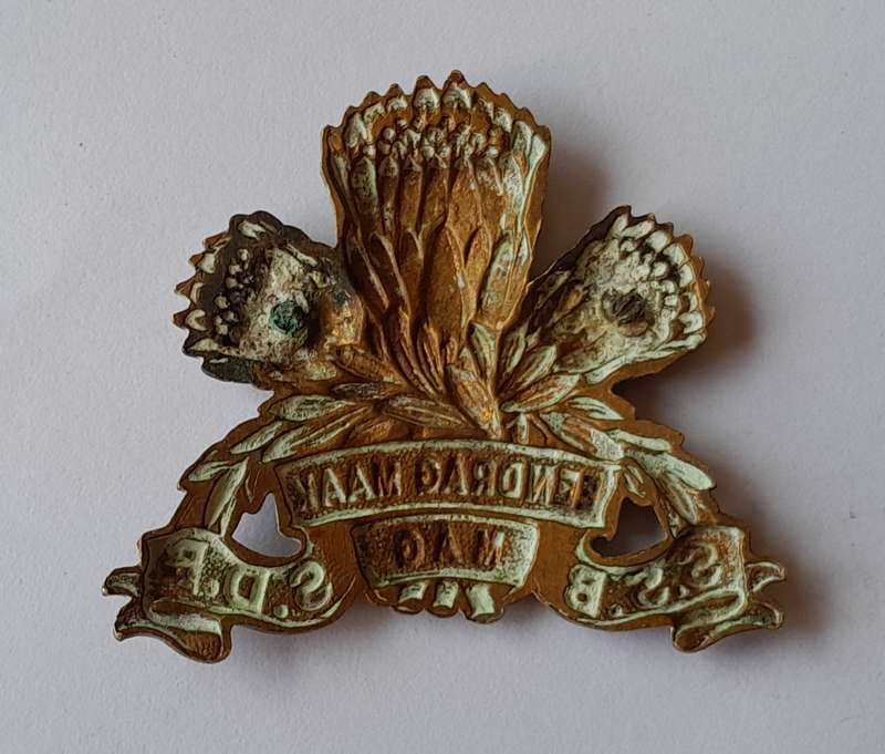 SA Army Special Service Battalion Cap Badge.  No Lugs.