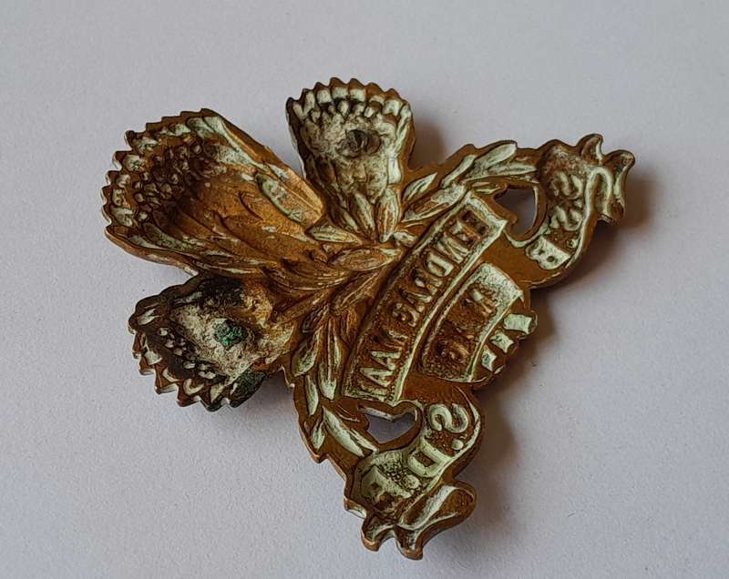 SA Army Special Service Battalion Cap Badge.  No Lugs.